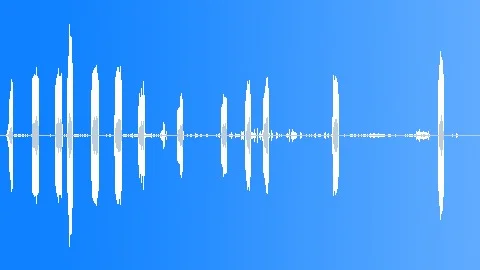 Western Sandpiper CU Calls Sound Effect