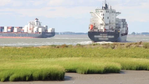 Western Scheldt giant ships Stock Footage 292967997