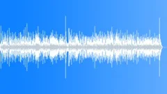 Western Swinger Stock Music