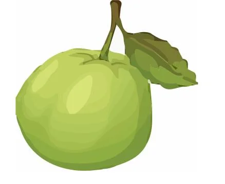 Western  vector on white background Stock Illustration