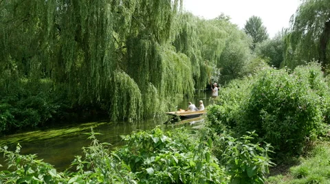 Westgate Punts, River Great Stour, Canterbury, Kent, England Stock Footage 42129871