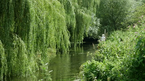 Westgate Punts, River Great Stour, Canterbury, Kent, England Vídeos de archivo 42131212