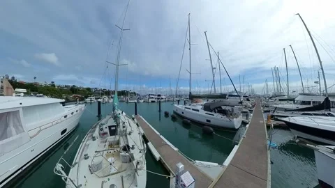Westhaven dock fish eye Stock-Footage 220642906