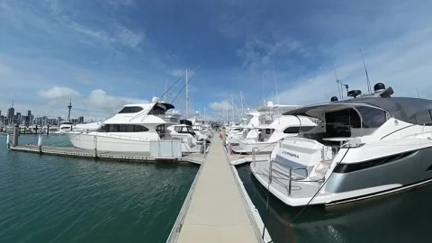 Westhaven Finger pier Stock Footage 220642935