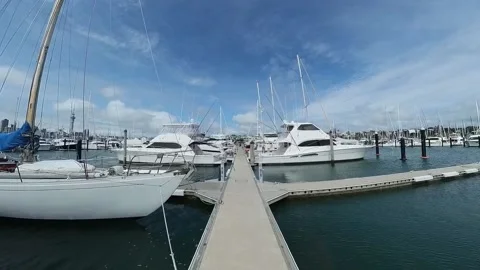 Westhaven Finger pier Stock Footage 220642938