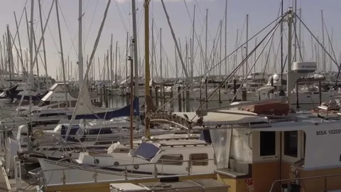 Westhaven Marina Stock Footage 196901416