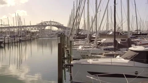 Westhaven Marina Stock Footage 196901417
