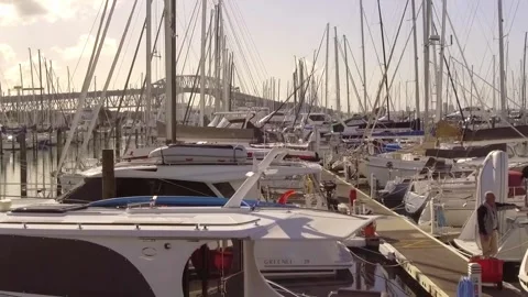 Westhaven Marina Stock Footage 196901421