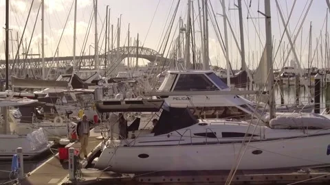 Westhaven Marina Stock Footage 196901425