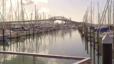 Westhaven Marina Stock Footage 196901430