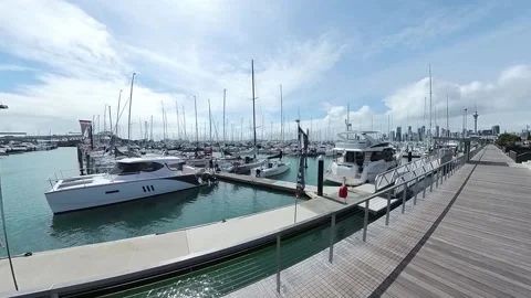Westhaven Marina Stock Footage 220642949