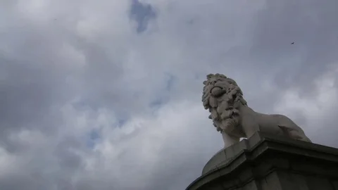 Westminster Bridge Lion Timelapse Stock Footage 82681994
