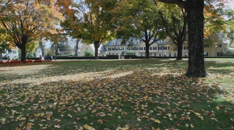 Westover School grounds (2 of 7) Stock Footage 33302565