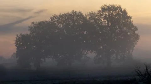 Westruper Heide Stock Photos