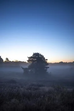 Westruper Heide Stock Photos