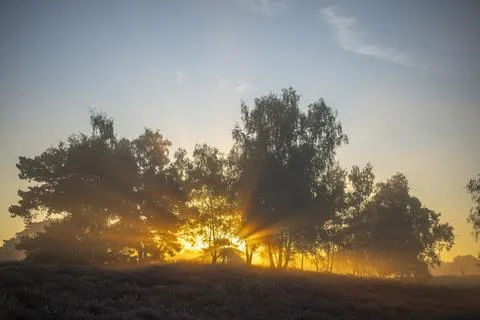 Westrupper Heide Foto stock