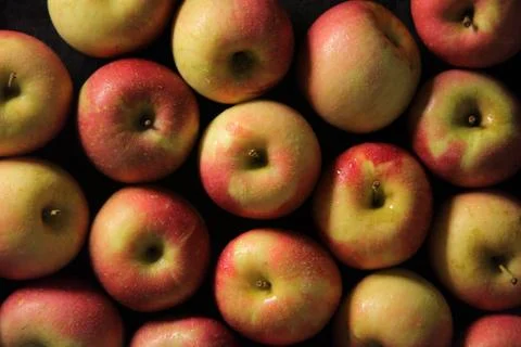 Wet apples Stock Photos