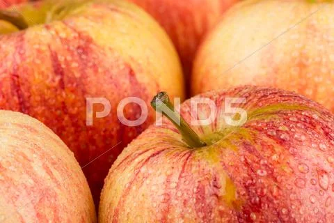 Wet apples with water drops Stock Photos
