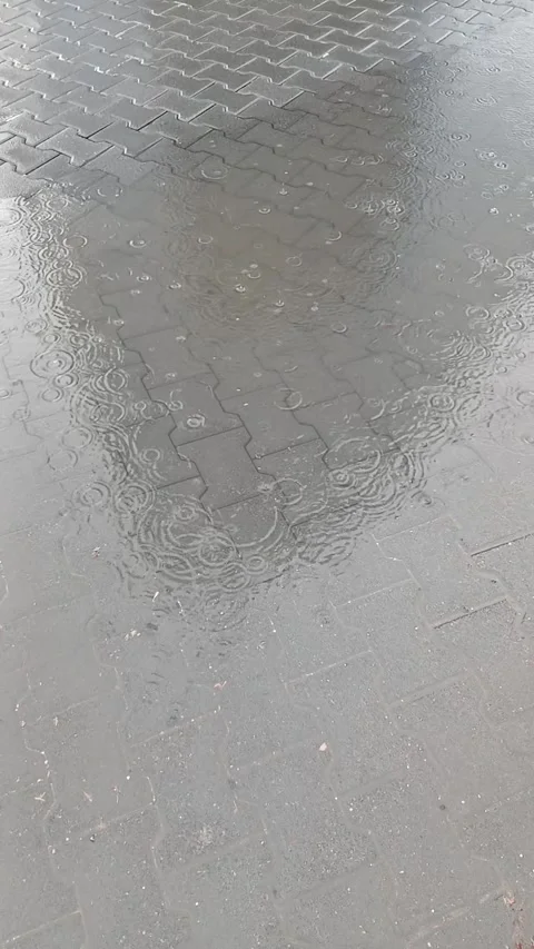 Wet asphalt pavement texture with rain puddles Stock Footage 341488332