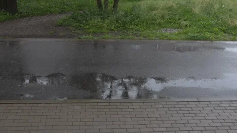 Wet asphalt road during rain next to green grass and tile sidewalk 库存影片 338175752