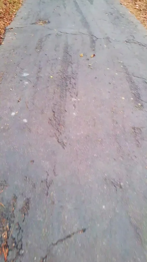 Wet asphalt road surface with scattered autumn leaves and pine needles show.. Stock Footage 329616445