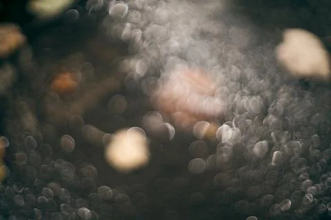Wet asphalt road surface with soft bokeh circles and fallen autumn leaves Stock Photos