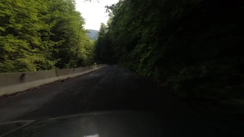 Wet asphalt in tree canopy 4K driving footage 動画素材 252111949