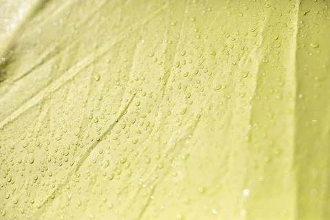 Wet awning from the rain. Stock Photos