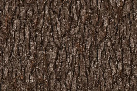 Wet bark texture background Stock Illustration