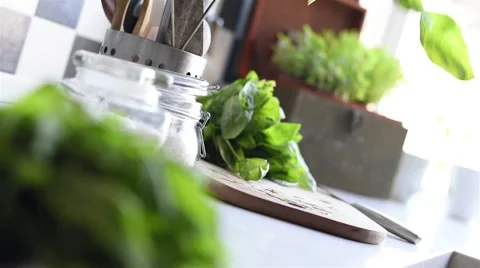 Wet basilic leaf Stockbeeldmateriaal 51162301