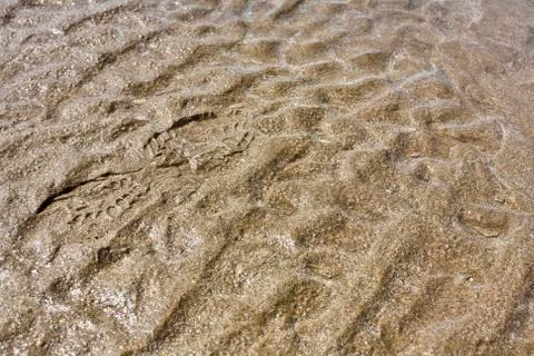 Wet beach Stock Photos