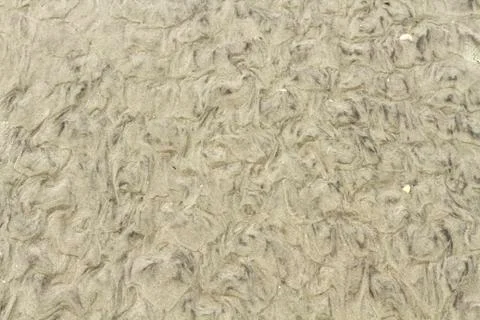 Wet Beach Sand Texture Pattern Stock Photos
