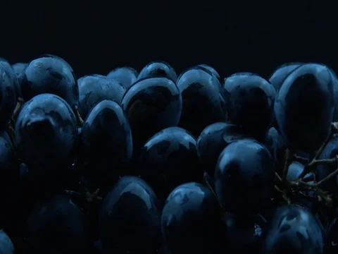 Wet black grapes rotation Video stock 80302671