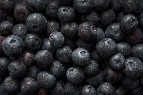 Wet Blueberries Close Up Stock Photos