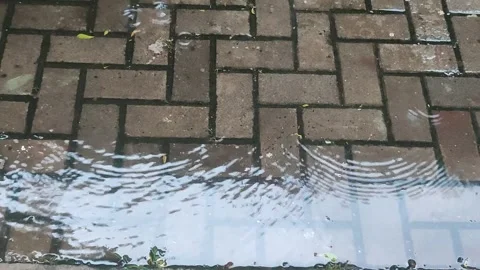 Wet brick pavement with rain puddle ripples Video stock 327950910