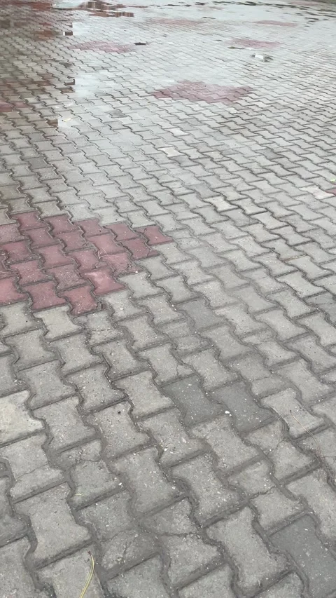 Wet bricks after rain. Stock Footage 310554042