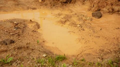 Wet brown mud puddle forming on ground Stock Photos