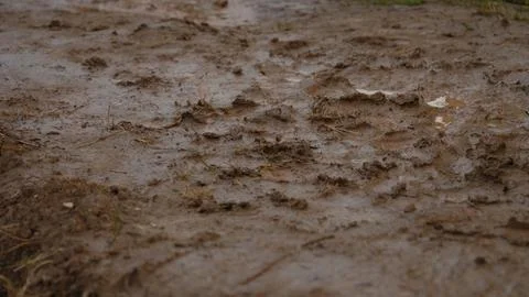 Wet brown mud texture with footprints on ground Stock Photos