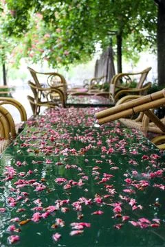 Wet cafe table during the rain with pink chestnut petals Stock Photos