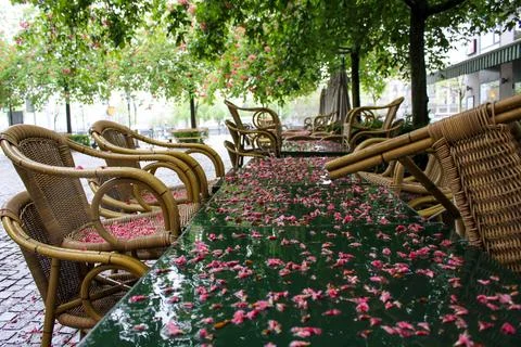 Wet cafe table during the rain with pink chestnut petals Stock Photos