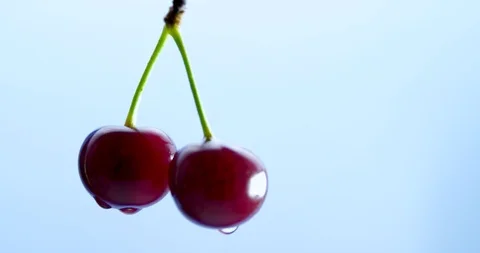 Wet cherry berries spin on a blue background Stock Footage 94143449