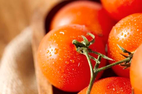Wet cherry tomatoes Stock Photos