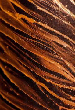 Wet Chocolate Paint Texture Stock Illustration