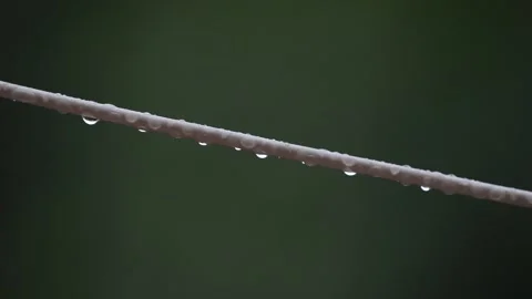 Wet clothesline covered in drips  Stock Footage 148380035
