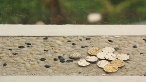 Wet coins Stock Footage 58914161
