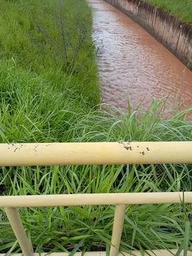 "Wet cycle path after rain with lateral vegetation" Stock Photos