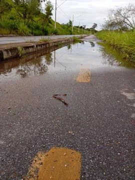 "Wet cycle path after rain with lateral vegetation" Stock Photos