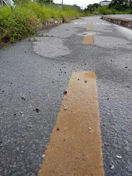 "Wet cycle path after rain with lateral vegetation" Stock Photos