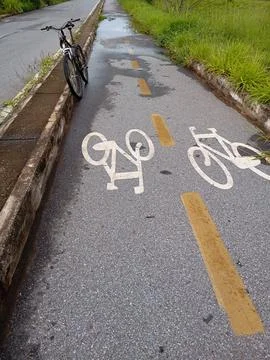 "Wet cycle path after rain with lateral vegetation" Stock Photos