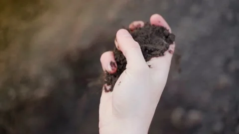 Wet dark soil close-up rubbed in the palm of your hand Stock Footage 200837544